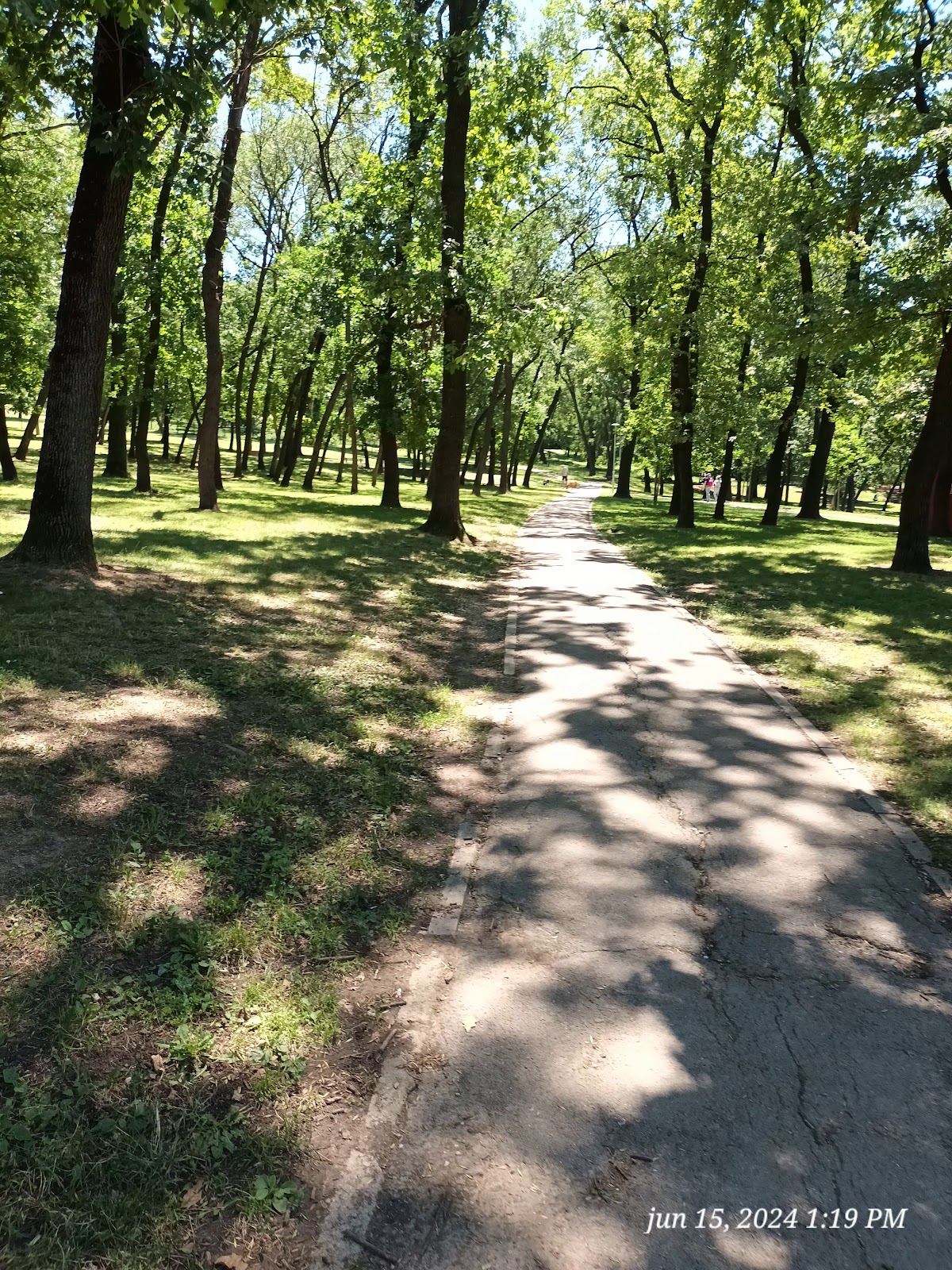 Парк Баново Брдо