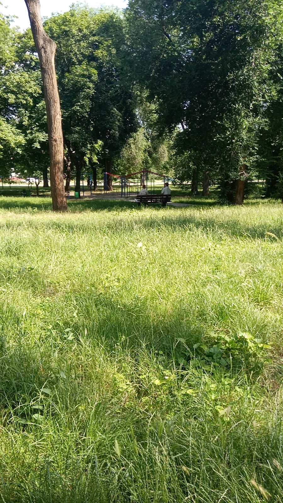 Площадка для воркаута