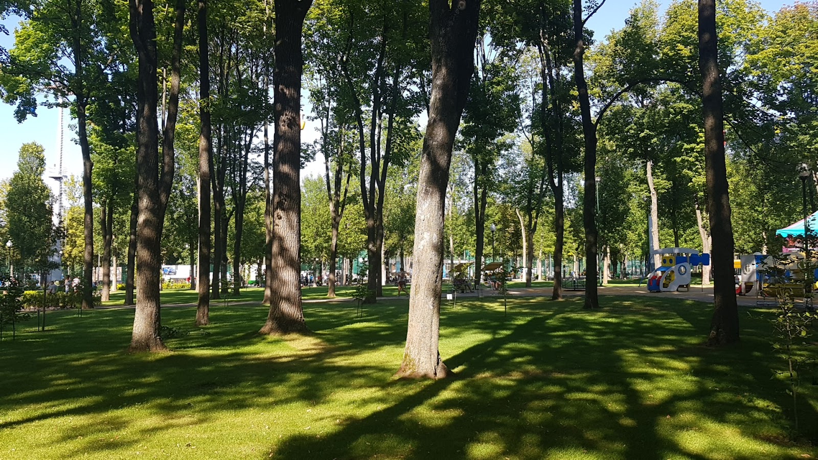 Площадка Street Workout