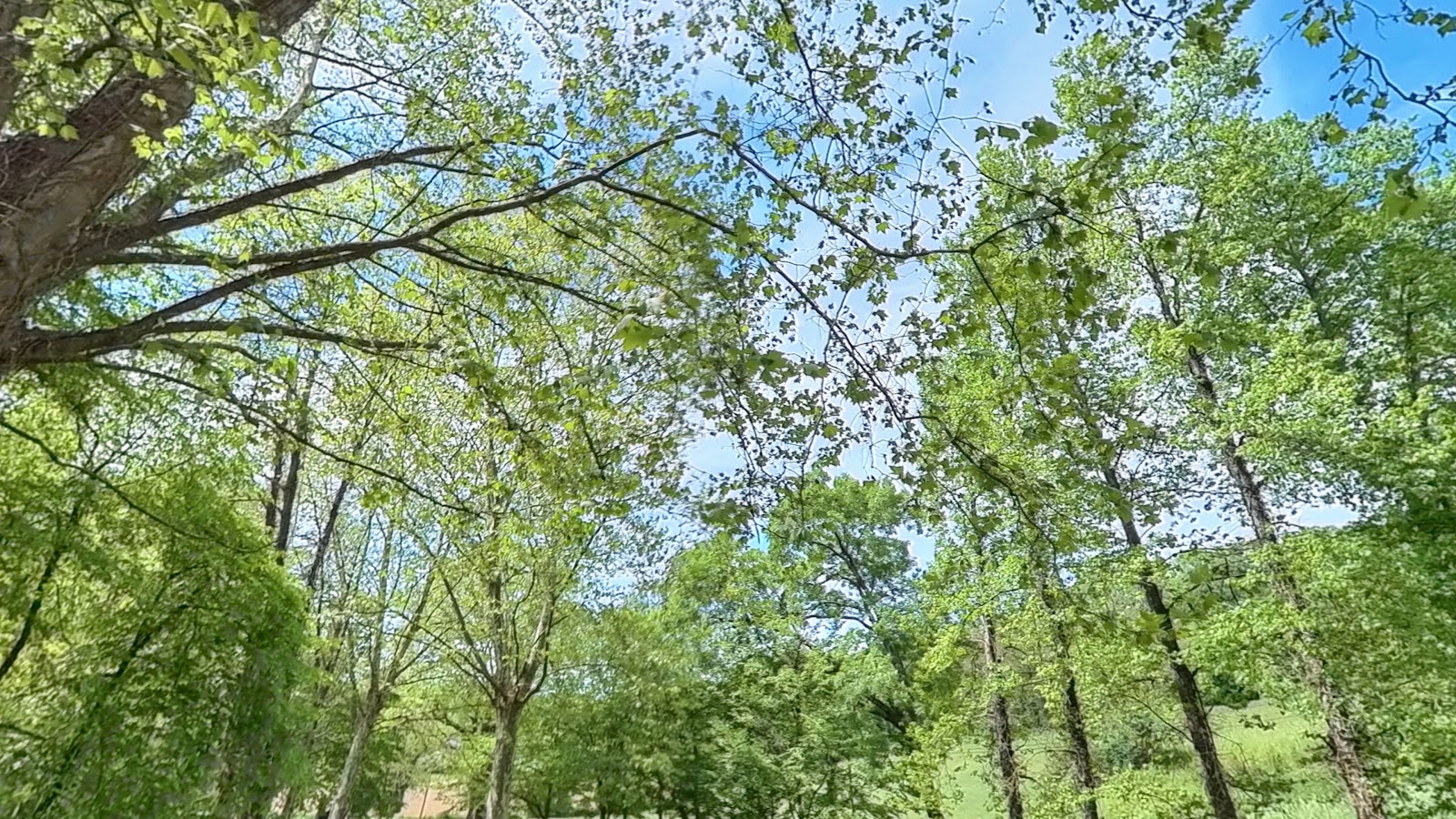 Aire de Street-Workout