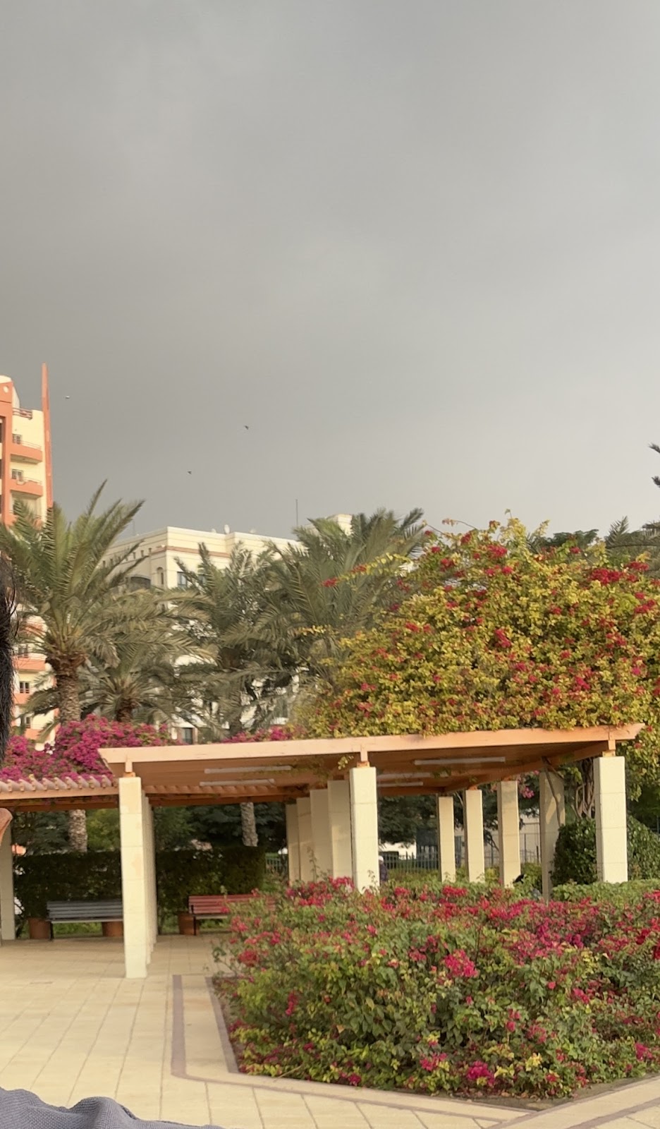 Al Nahda Pond Park Fitness Zone