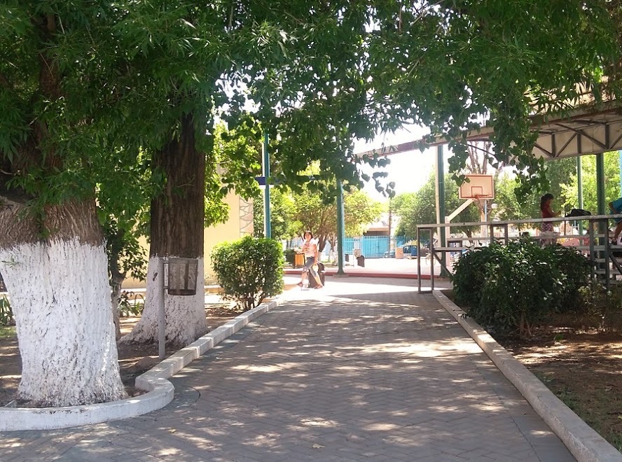 Alameda Municipal