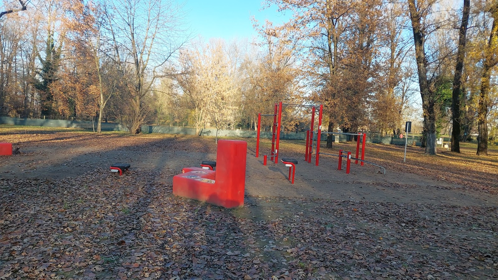 Area Calisthenics