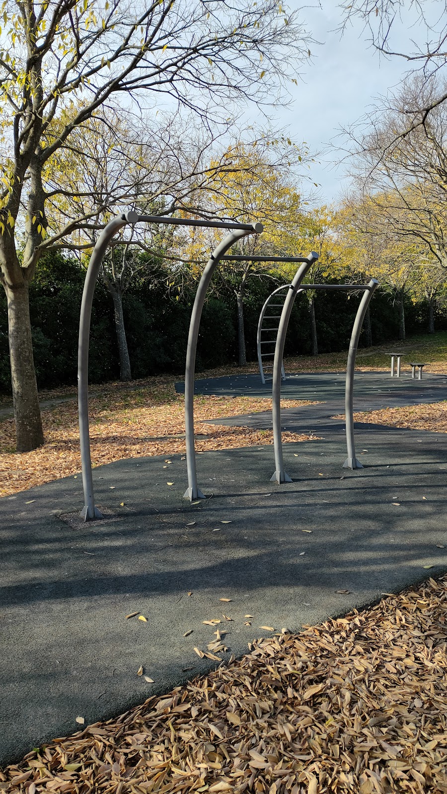 Area Calisthenics Parco della Cittadella