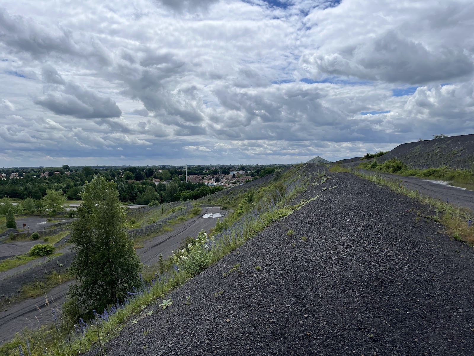 Arena Terril Trail (Terril 94)