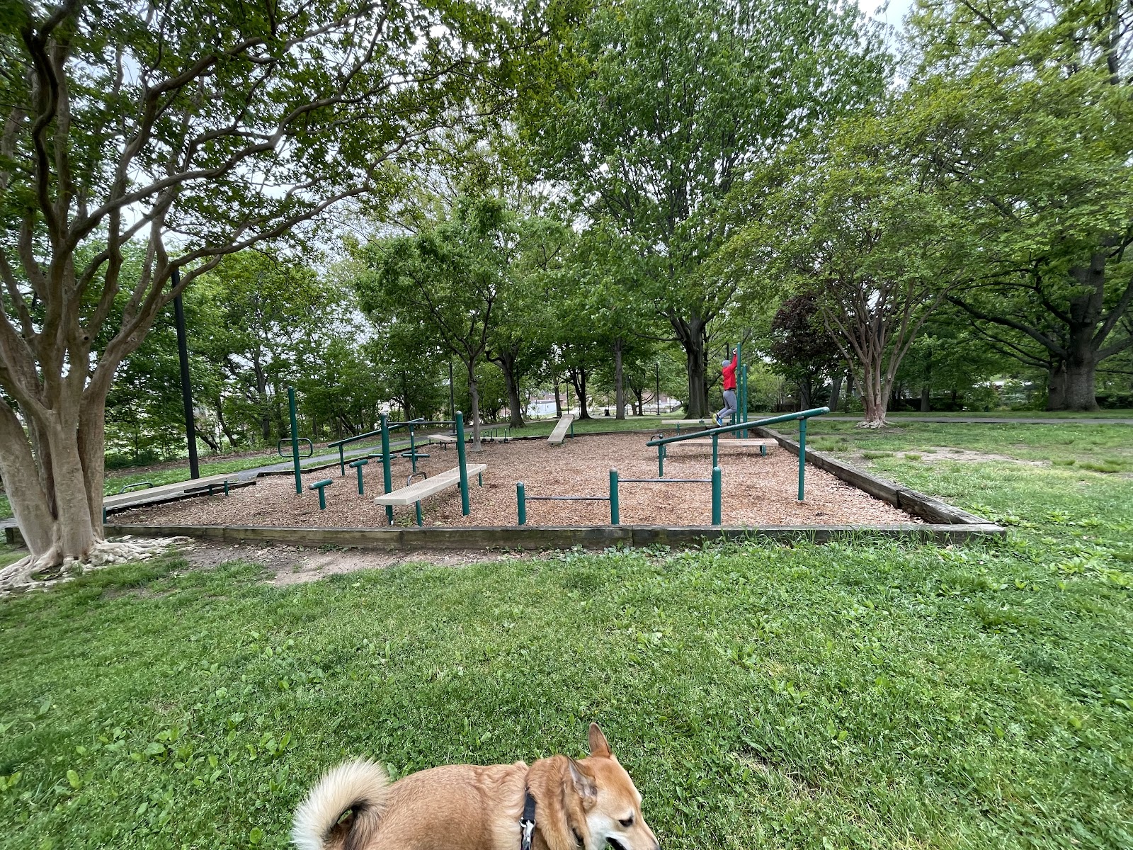 Arlington Calisthenics Park-Arlington Heights