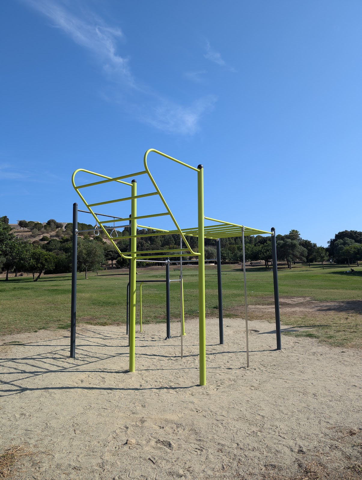 Attrezzature calisthenics