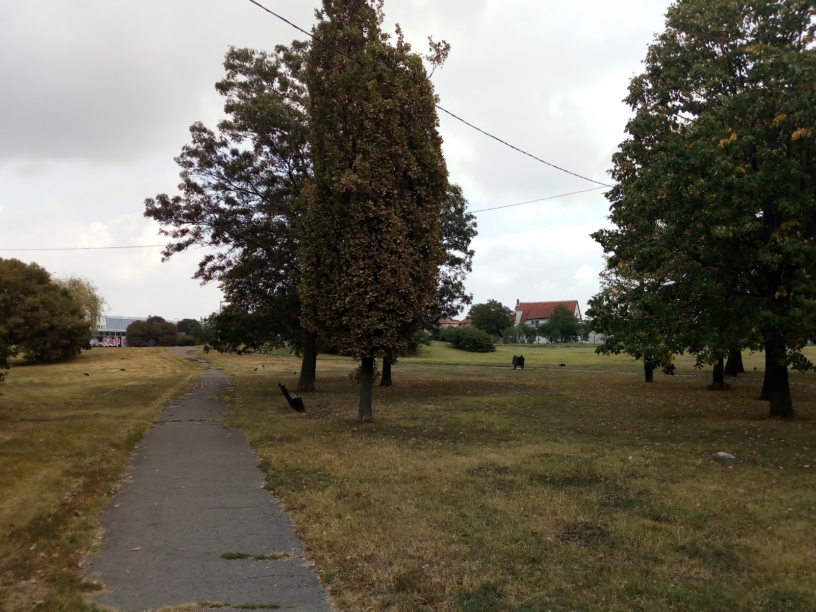 Béke-park