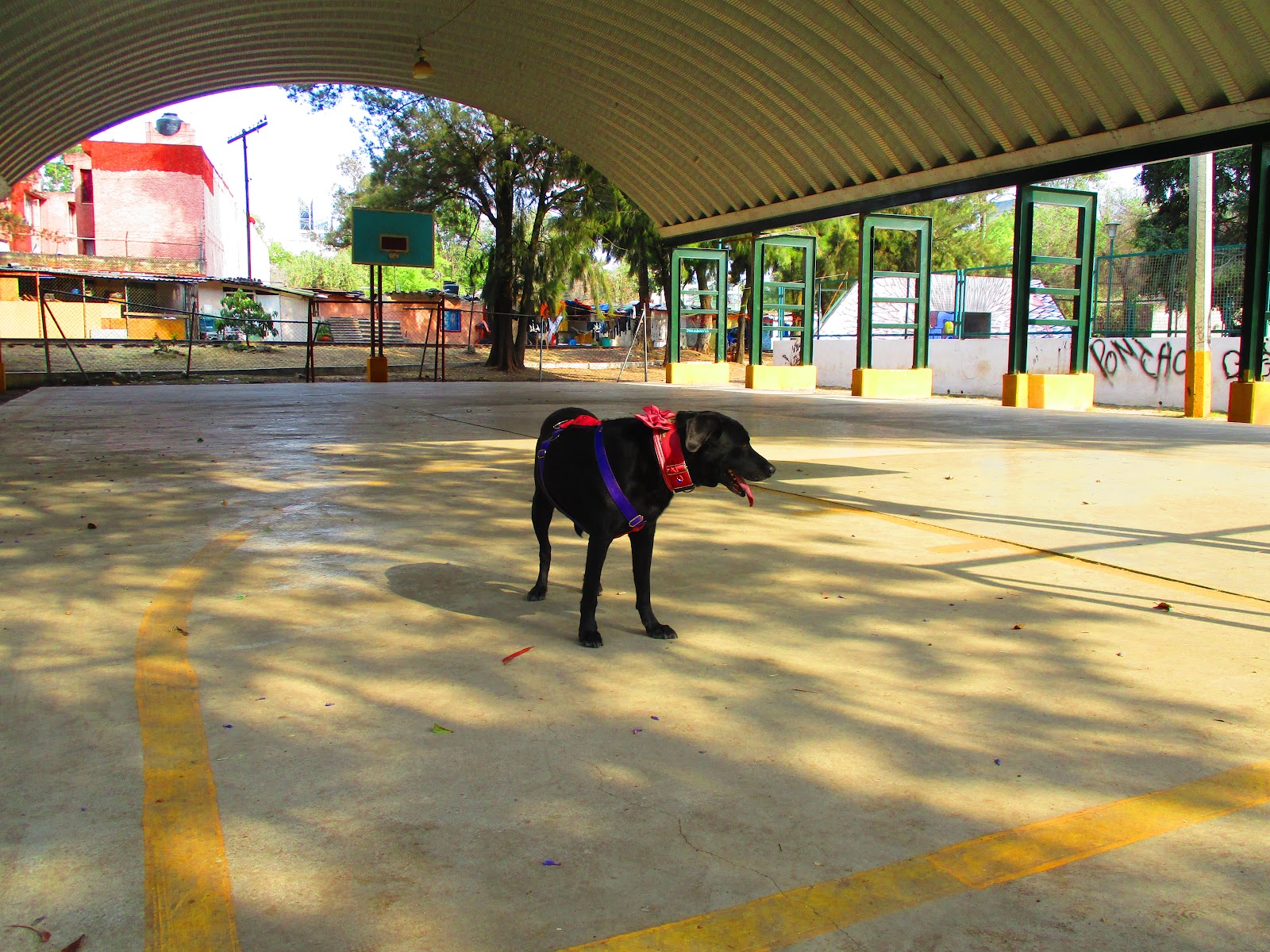 Baden Powell - Itzinecan Park