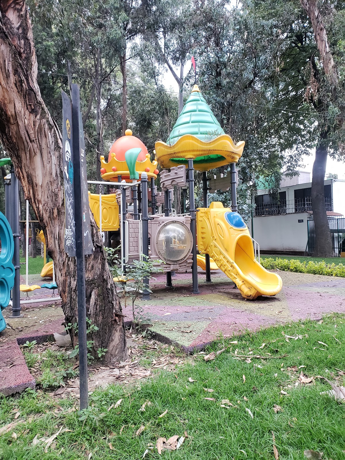 Bambú Park