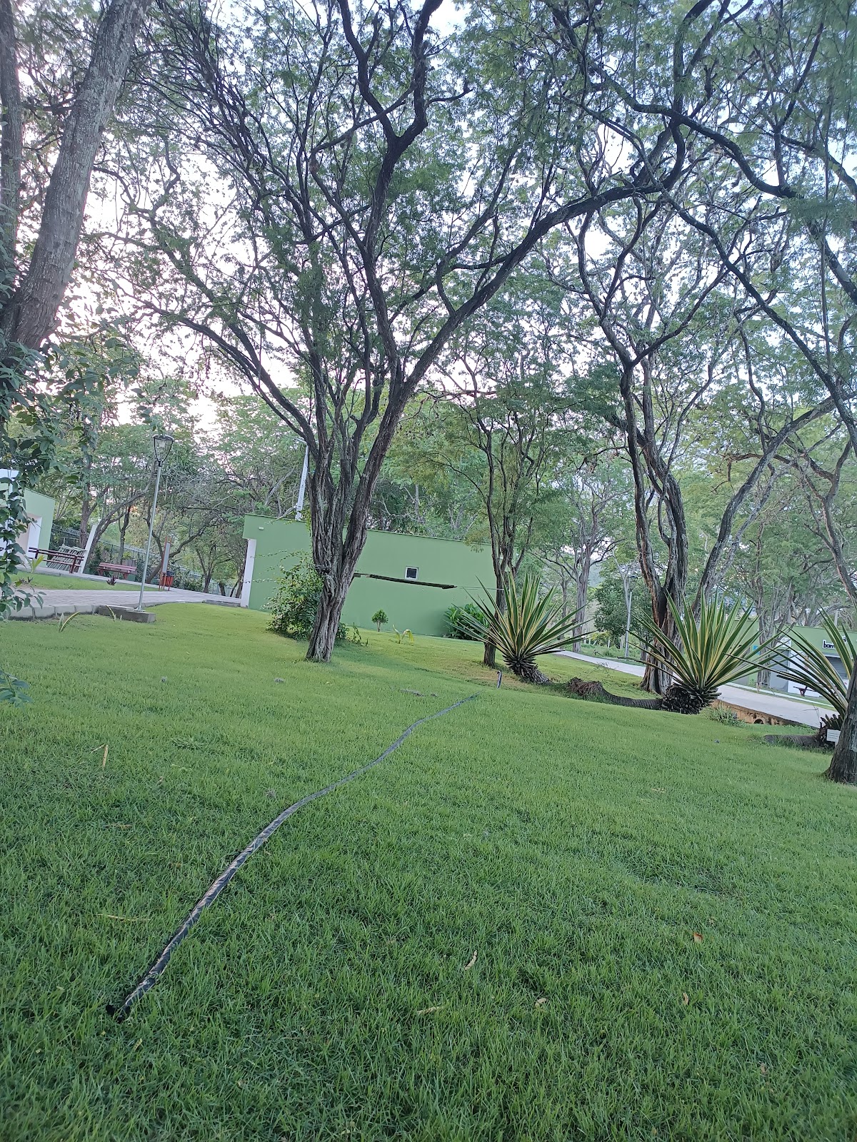 Bamboo Park