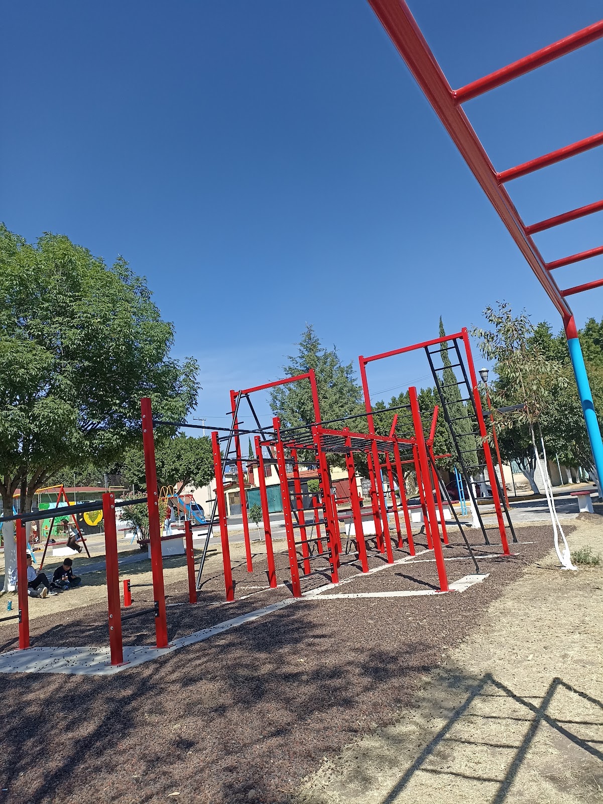 Barras "Black Bulls StreetWorkout"