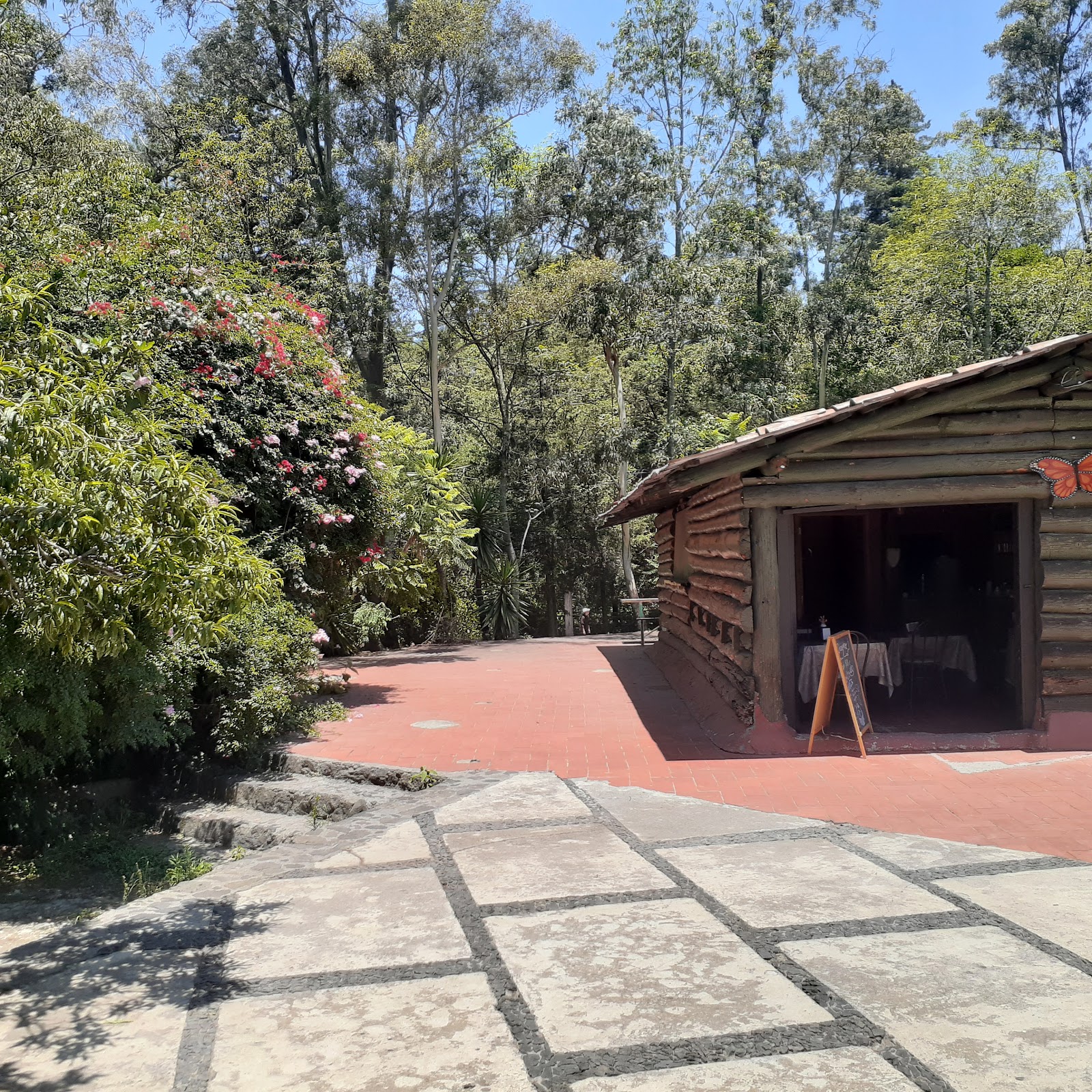 Barras Bosque de Tlalpan