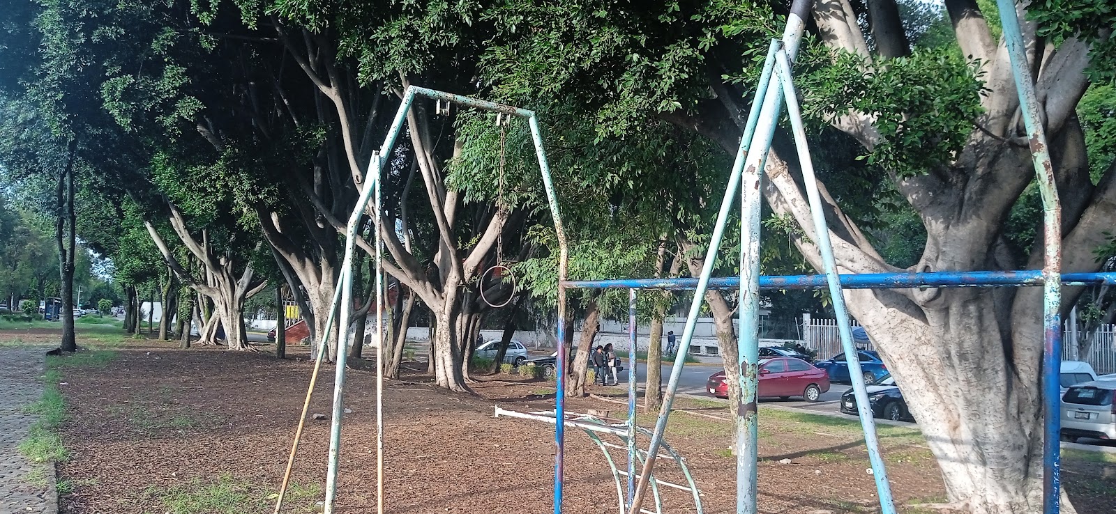 Barras Calistenicas - Calisthenics Bars