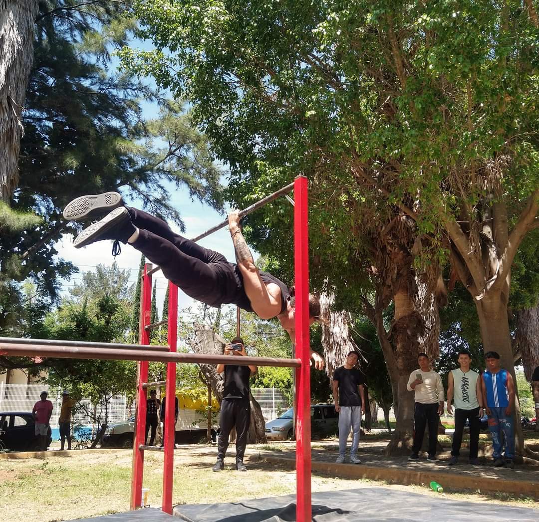 Barras de calistenia