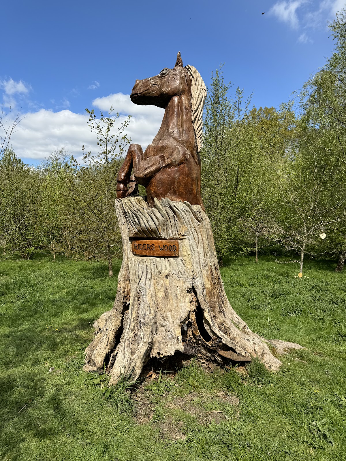 Bearsted Woodland Trust