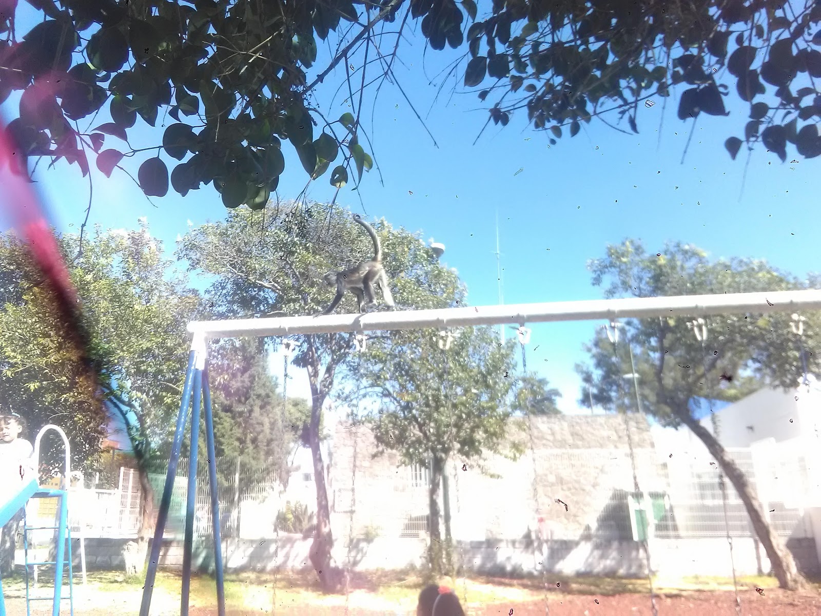 Benito Juárez Park