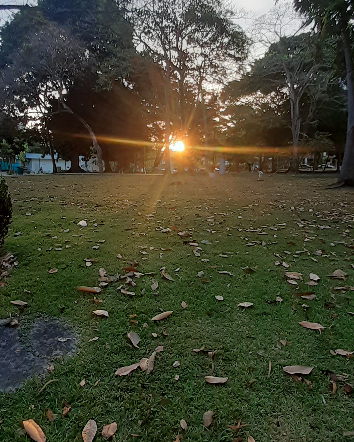 Benito Juárez Park