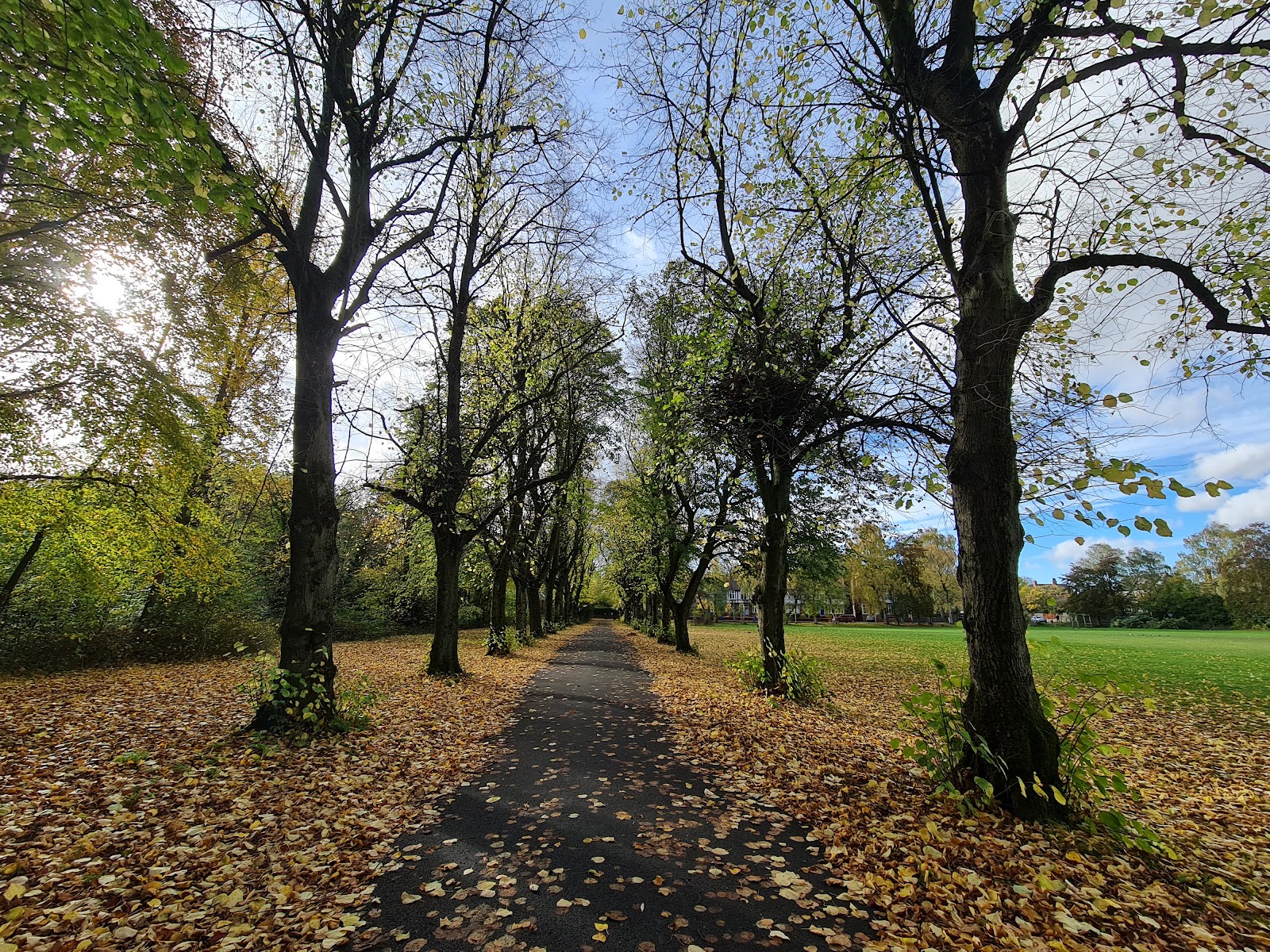 Birchfields Park