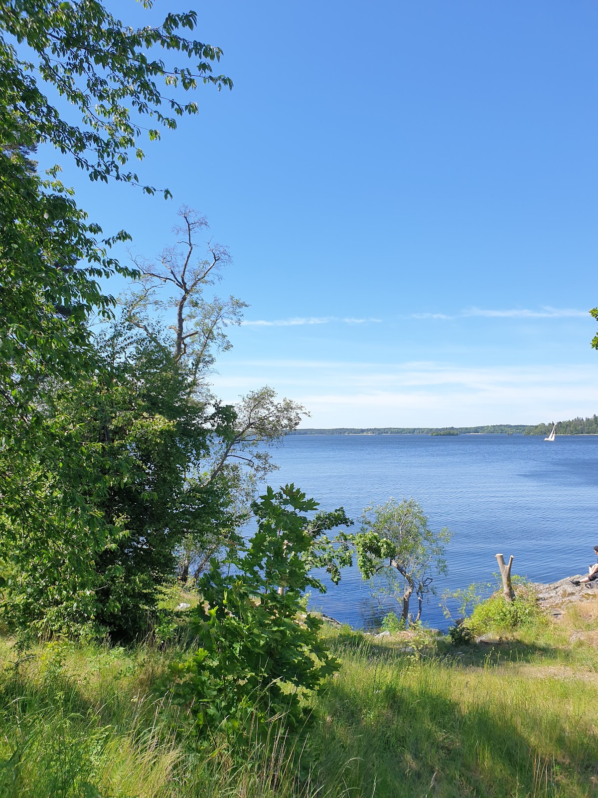 Bonäs utegym
