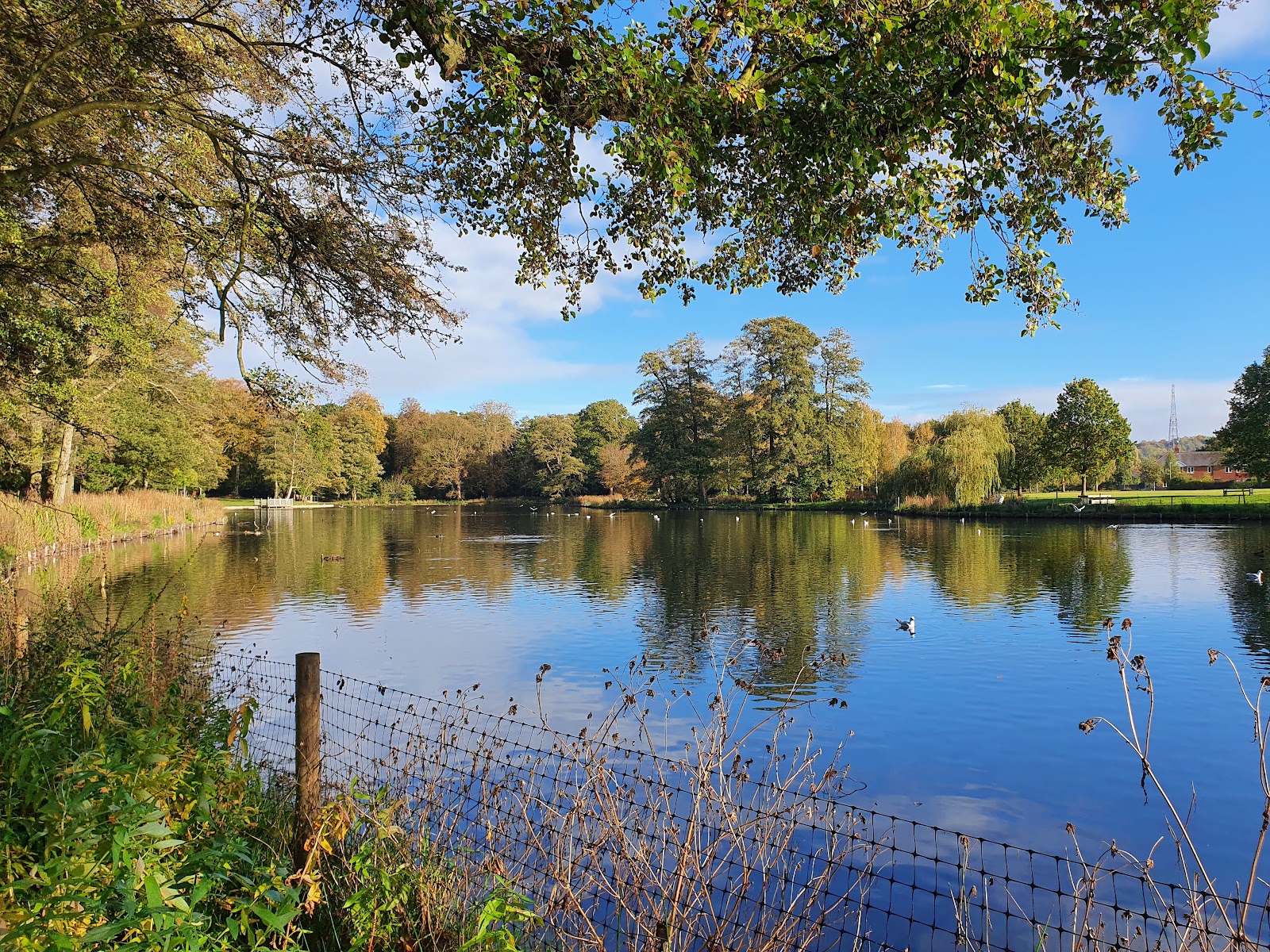 Boultham Park