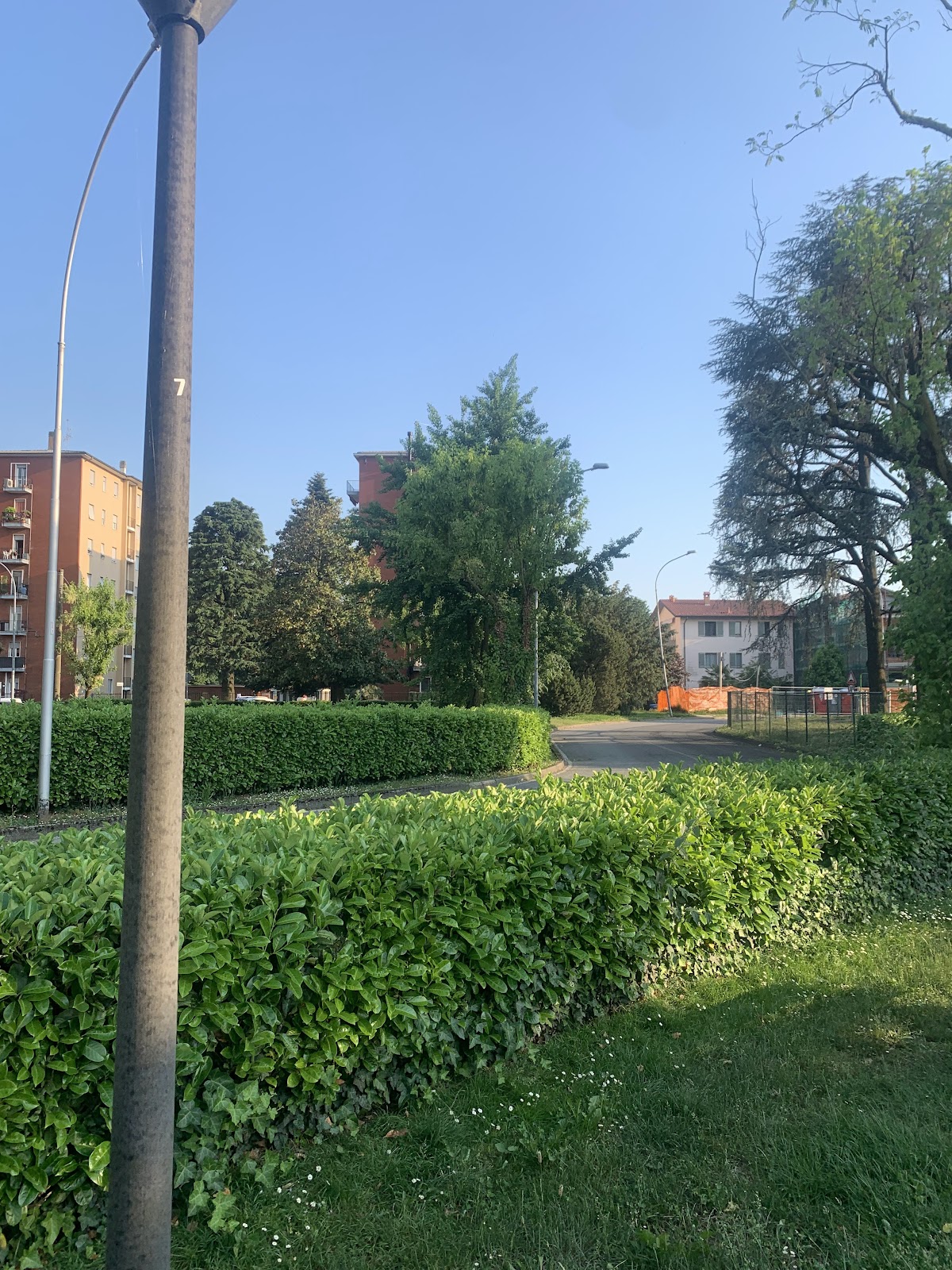 Burago Molgora Parco Calisthenics