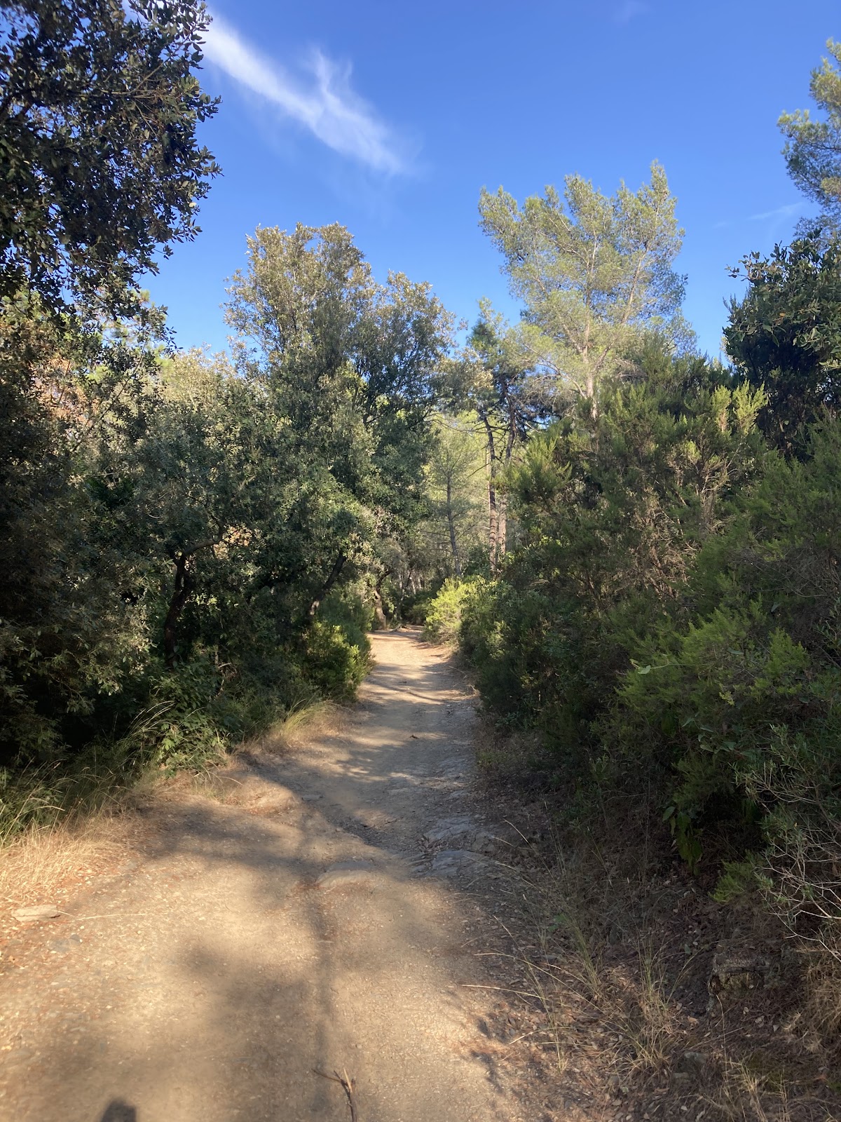 CRAPA de la foret
