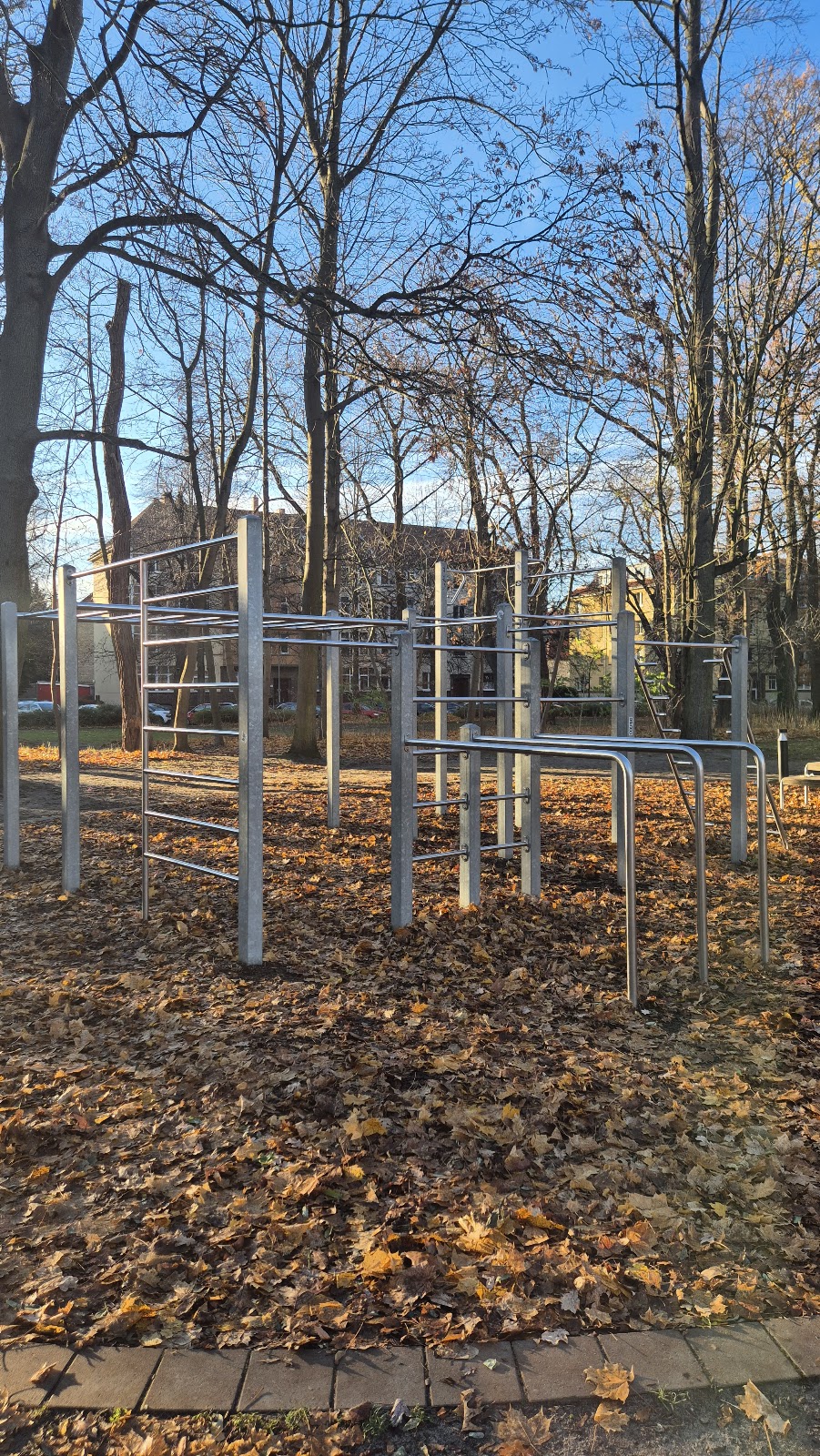 Cali38 - Calisthenics Braunschweig