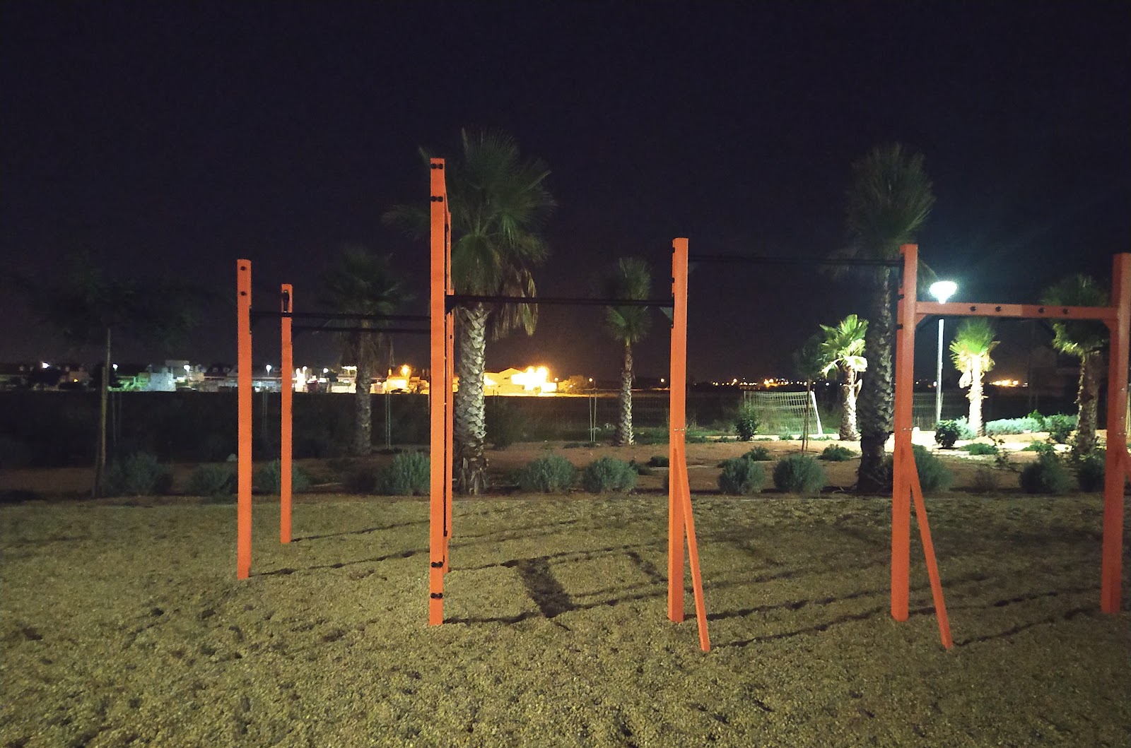 Calistenia Los Dolores Park