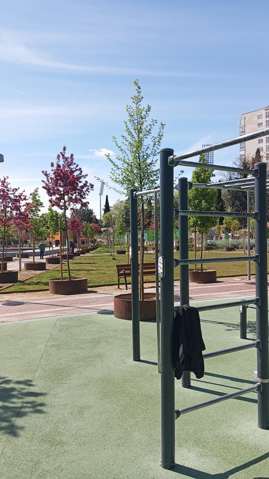 Calistenia Park