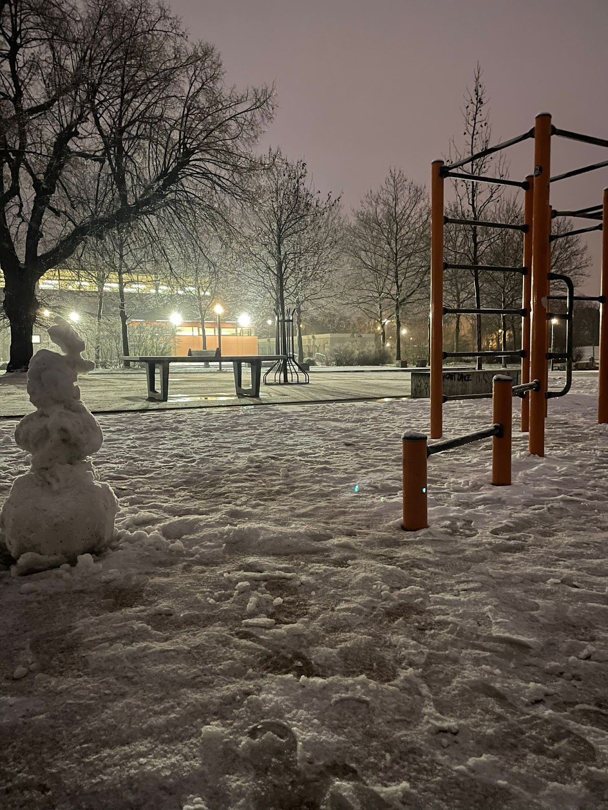 Calisthenic Park Outdoor
