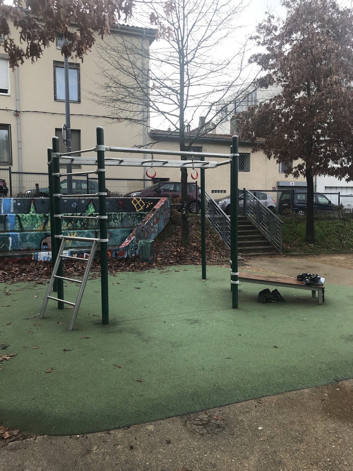 Calisthenic park