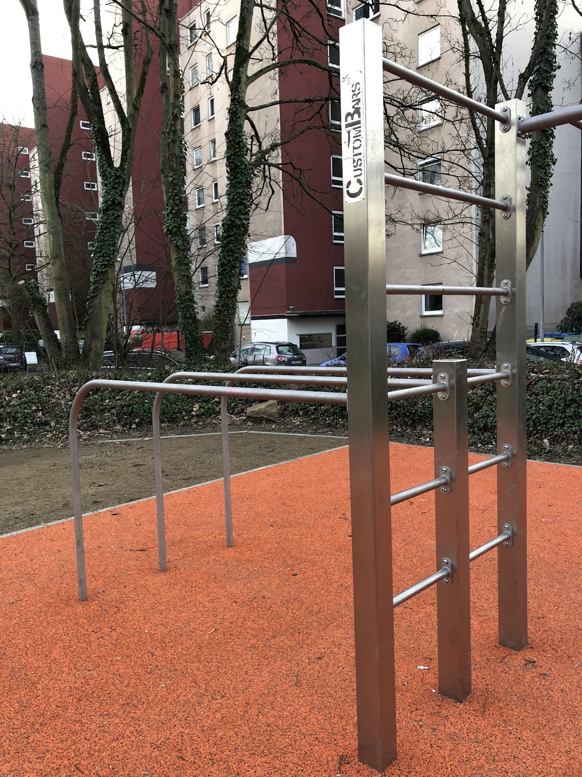 Calisthenics-Park am Schlosspark Biebrich