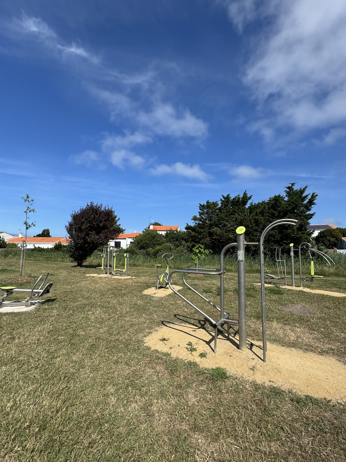 Calisthenics