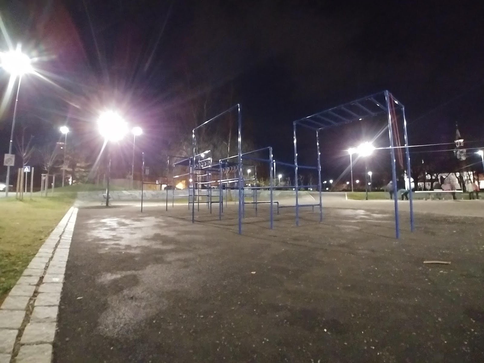 Calisthenics/Street Workout Bars