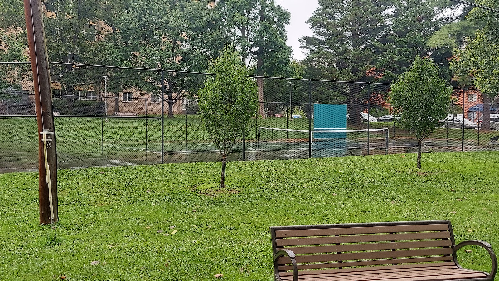 Calisthenics Equipment
