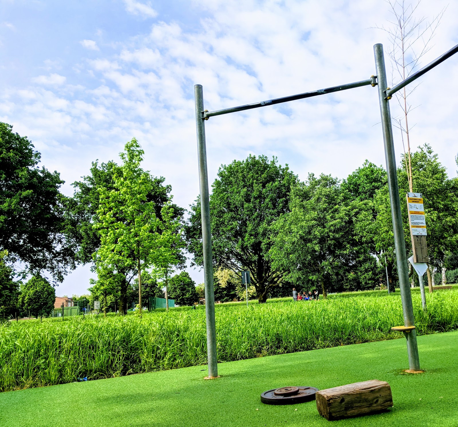Calisthenics Ferrara