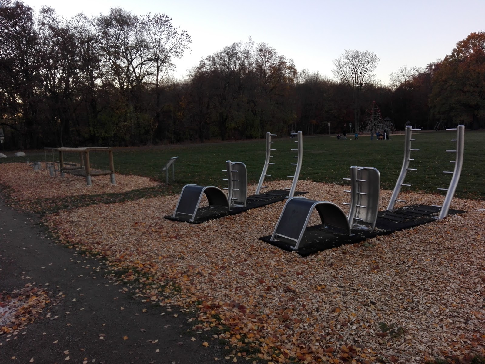 Calisthenics Merheimer Heide