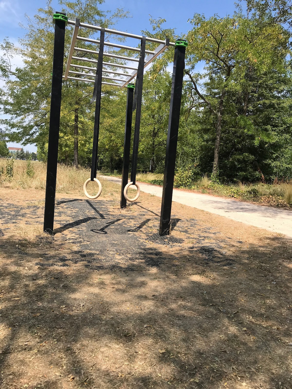 Calisthenics Outdoor Gym