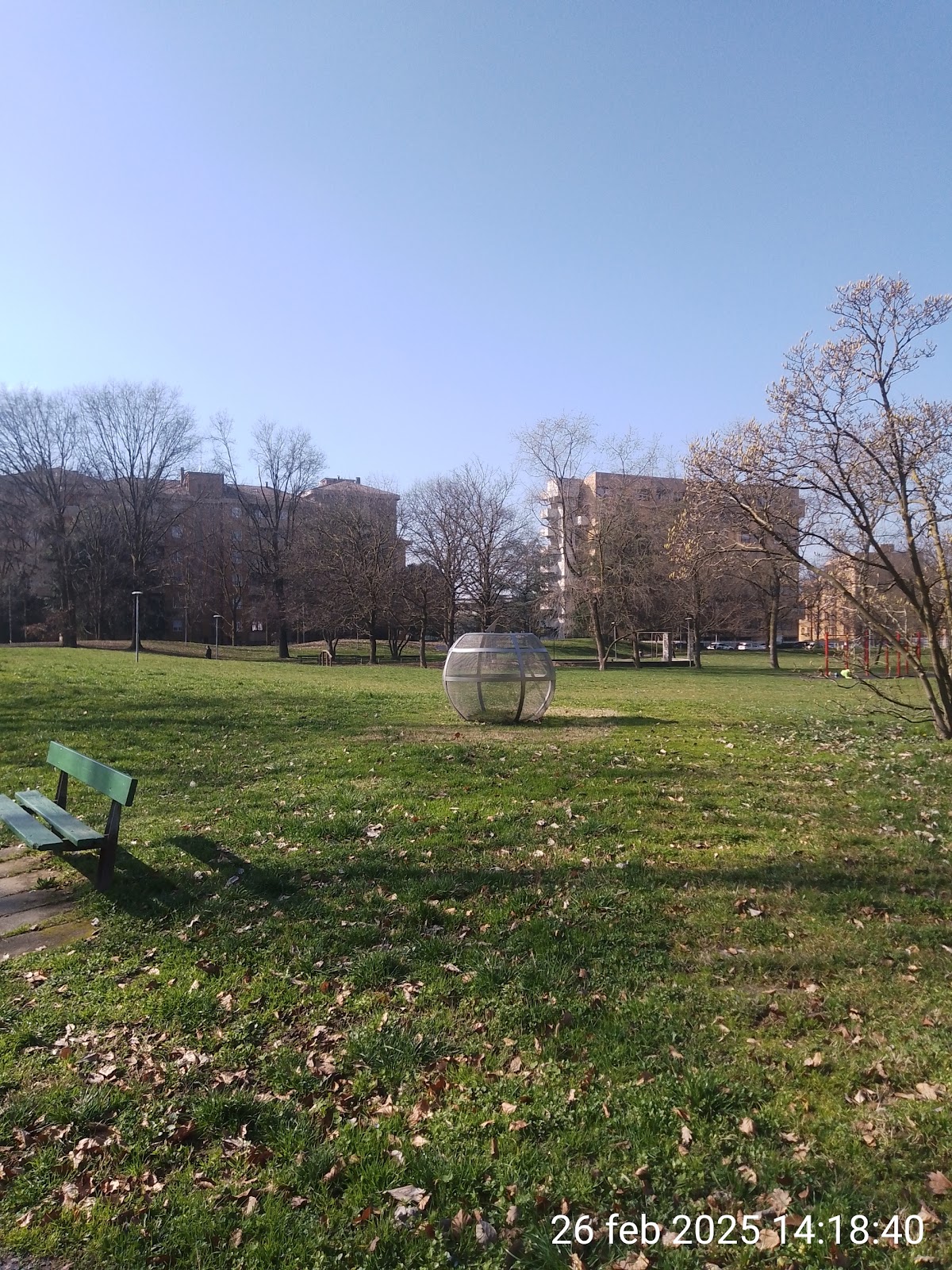 Calisthenics Parco delle Betulle