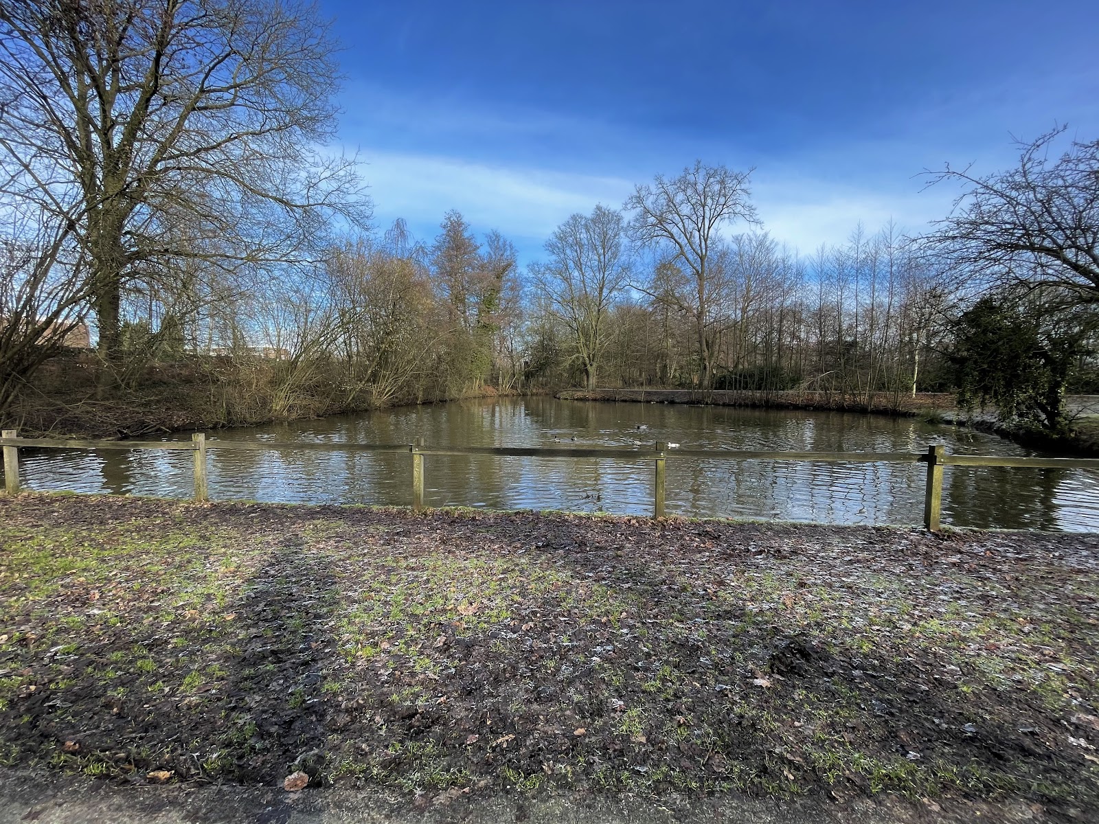Calisthenics Park - Groot Driene