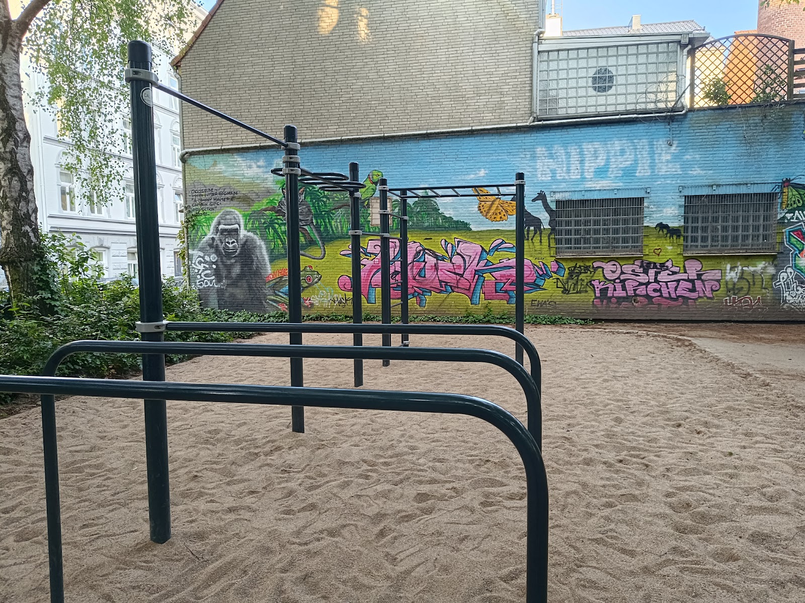 Calisthenics Park