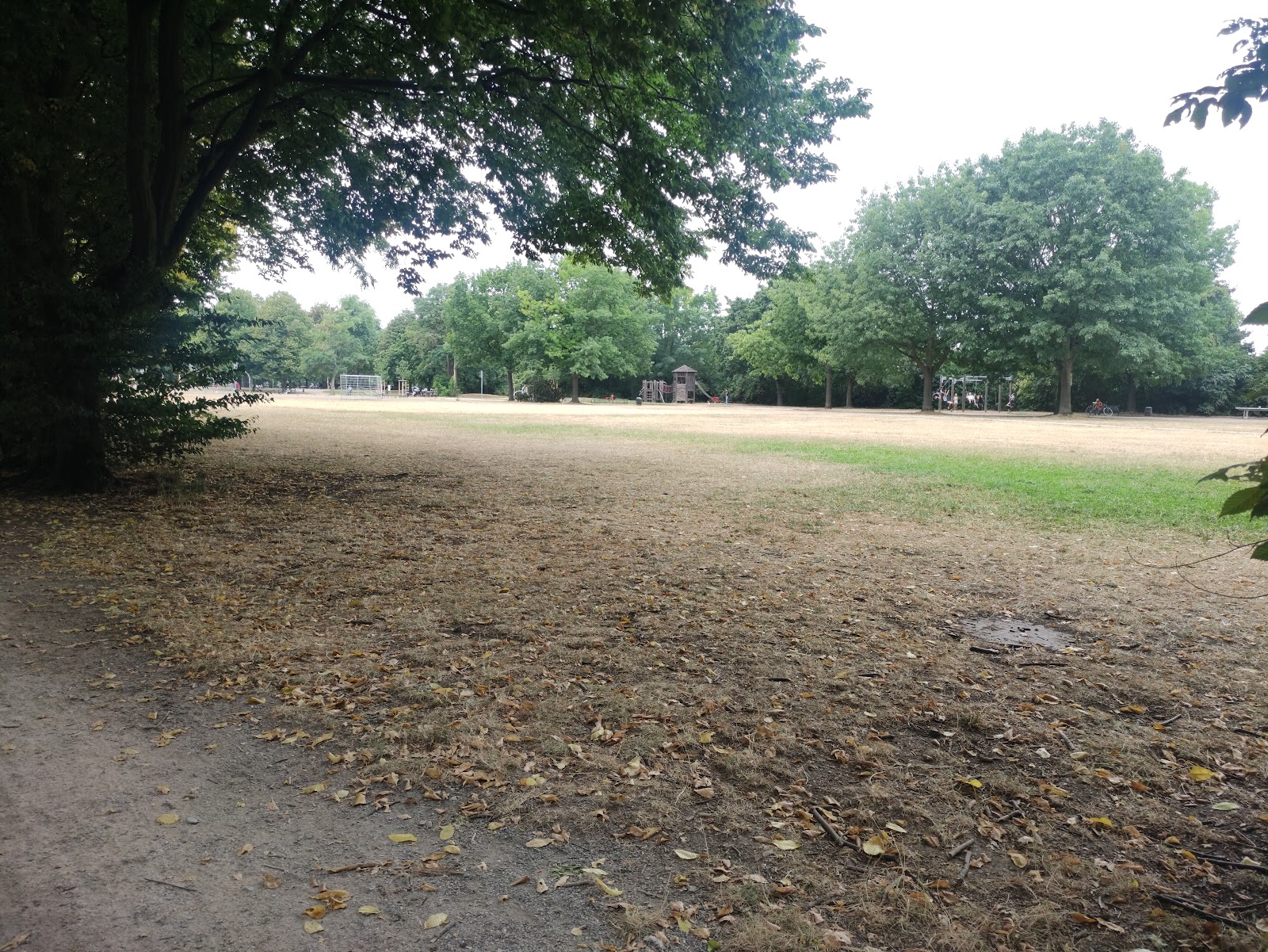 Calisthenics Park