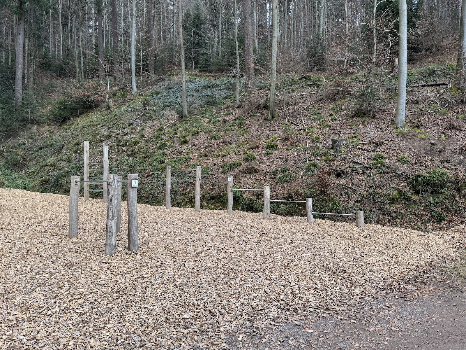 Calisthenics Park
