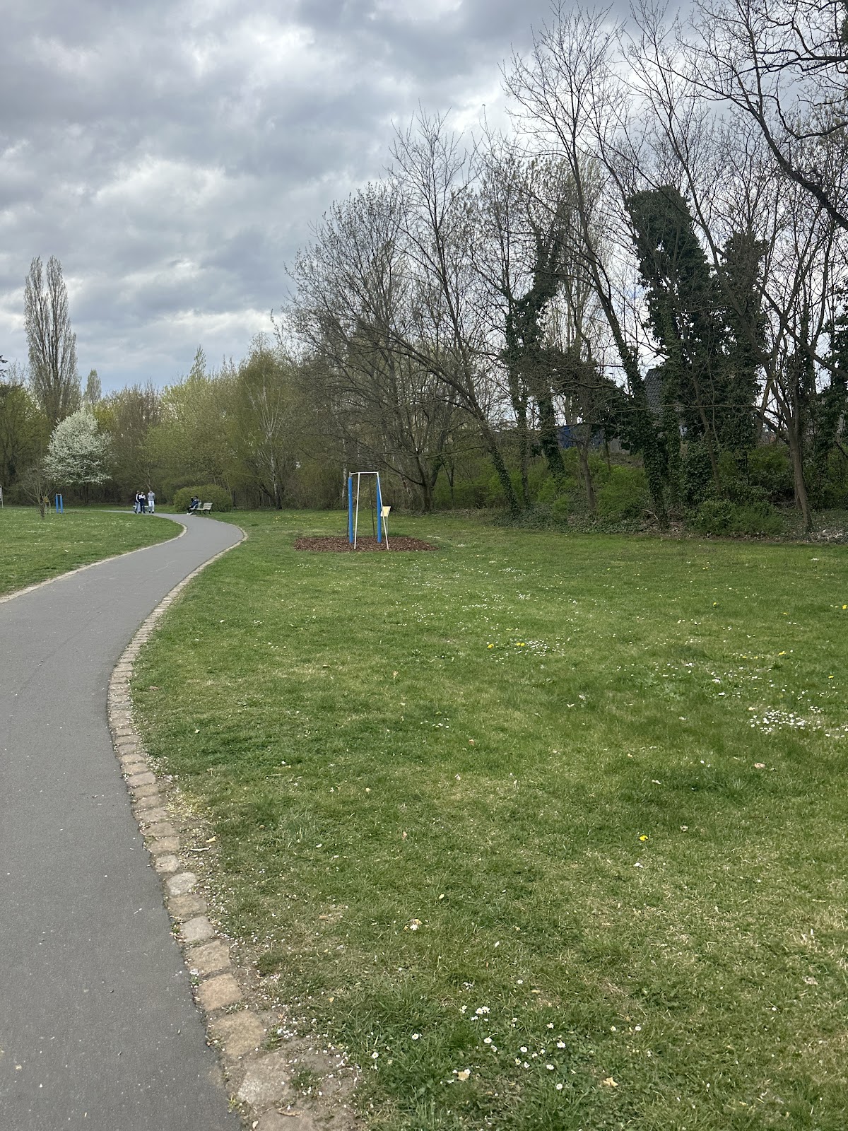 Calisthenics Park