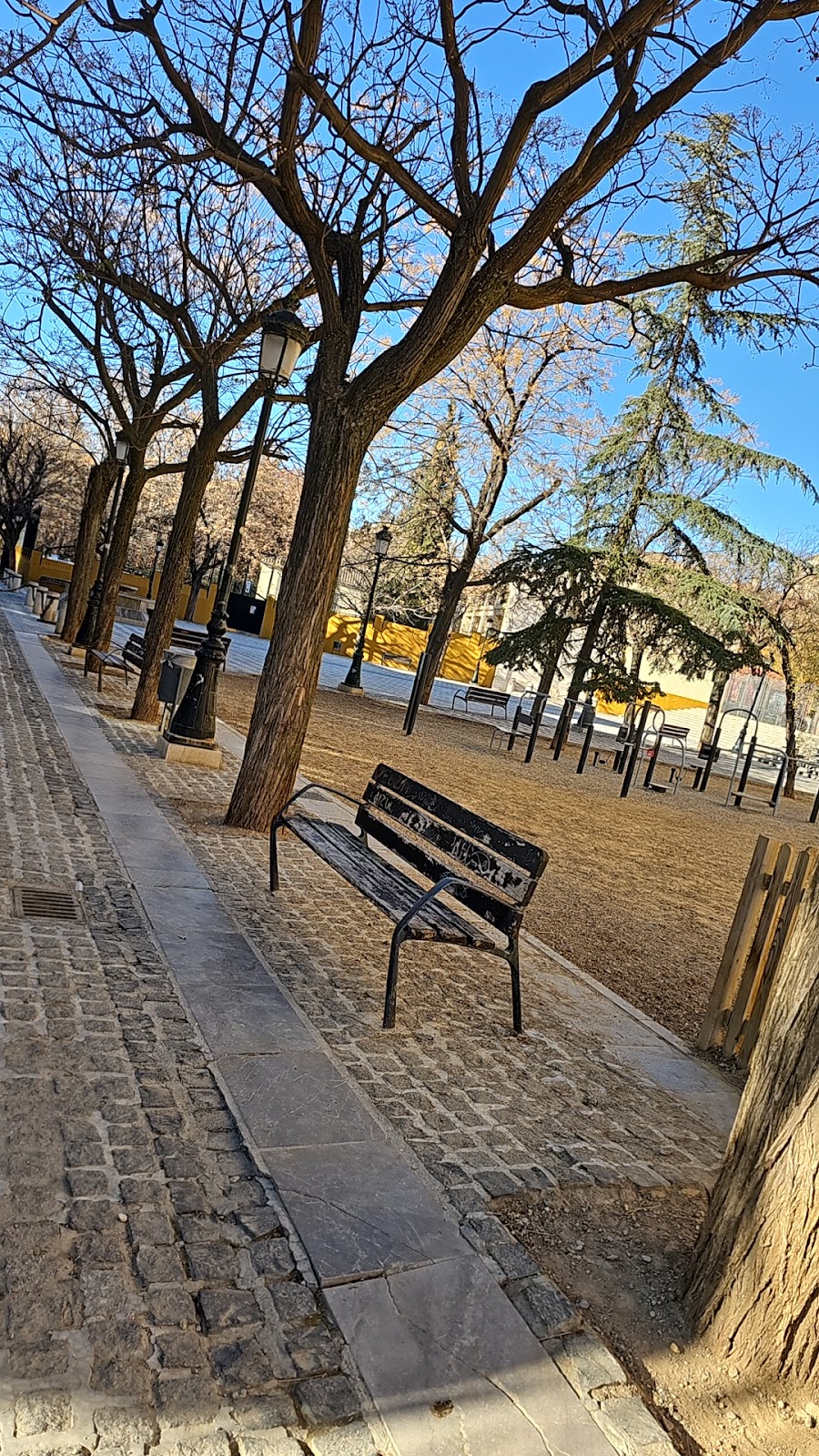 Calisthenics Park