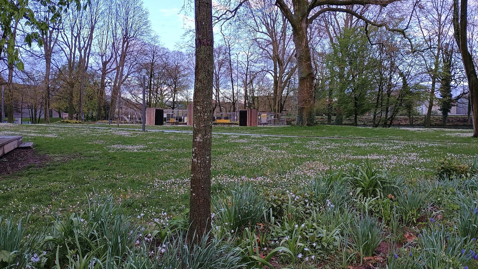 Calisthenics Park
