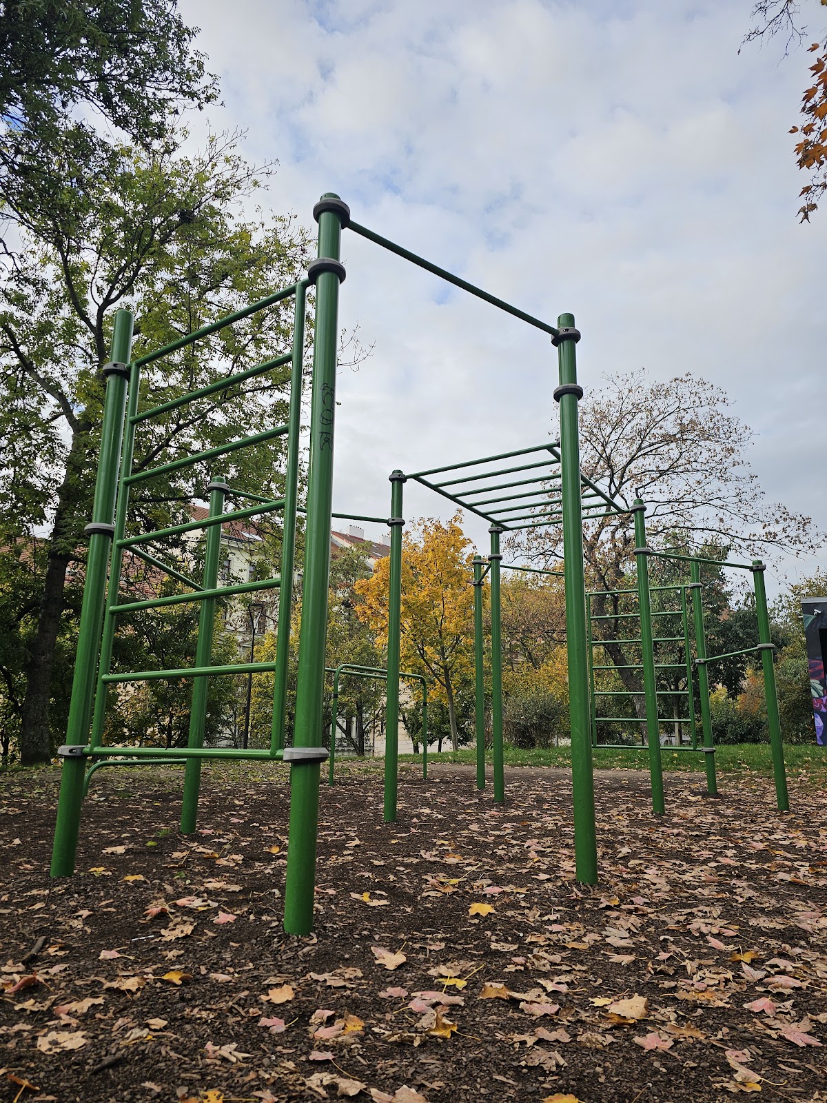 Calisthenics Workout