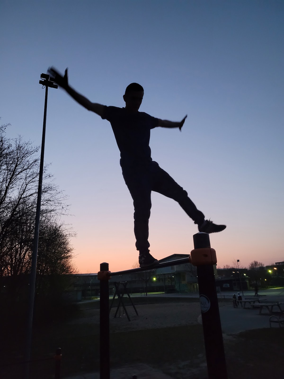 Calisthenics area