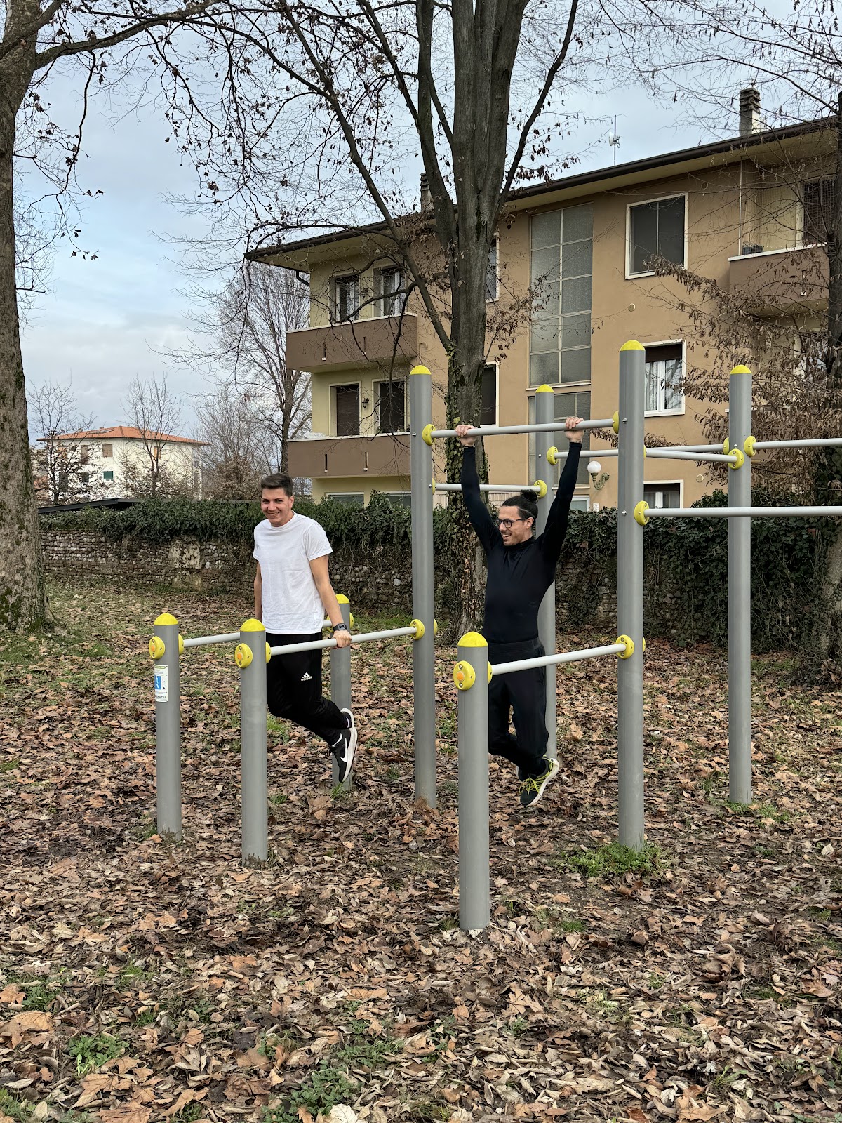 Calisthenics